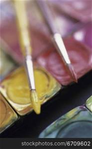 Close-up of paintbrushes on watercolors