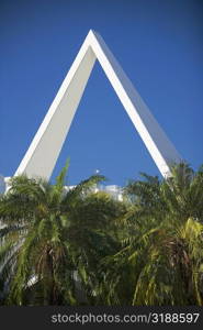 Close-up of palm trees in front of buildings, Miami, Florida, USA