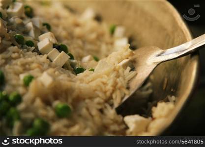 Close-up of paneer pulao in container