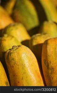 Close-up of papayas