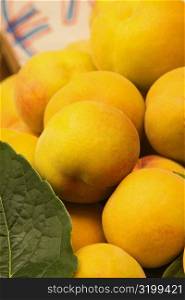 Close-up of peaches, Sorrento, Sorrentine Peninsula, Naples Province, Campania, Italy