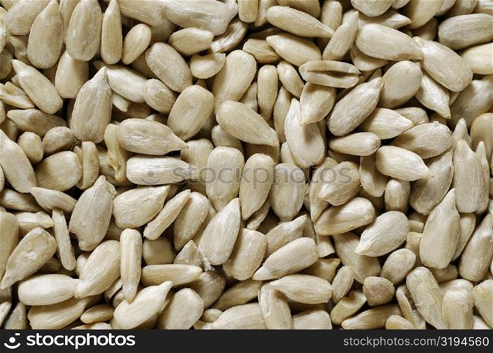 Close-up of peanuts
