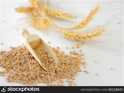 close up of pearl barley on white background
