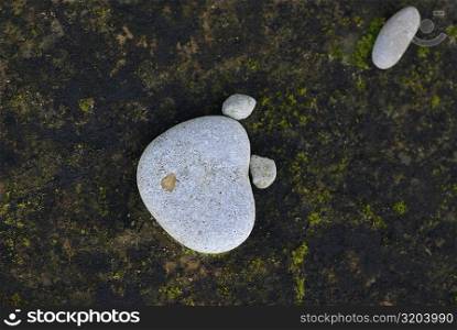 Close-up of pebbles