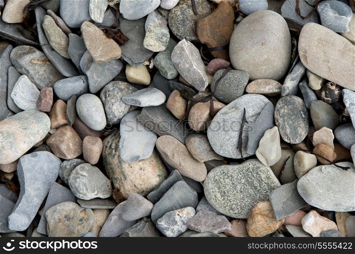 Close-up of pebbles, Bonne Bay, Norris Point, Gros Morne National Park, Newfoundland And Labrador, Canada
