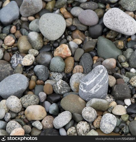 Close-up of pebbles, Deception Pass State Park, Oak Harbor, Washington State, USA