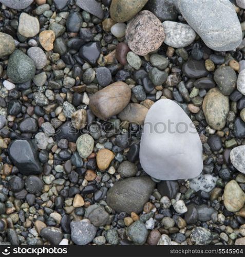 Close-up of pebbles, Deception Pass State Park, Washington State, USA