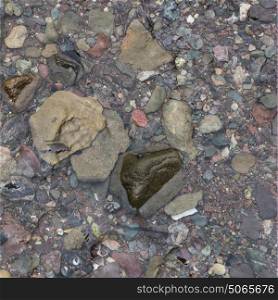 Close-up of pebbles in shallow water, Fundy National Park, Alma, New Brunswick, Canada