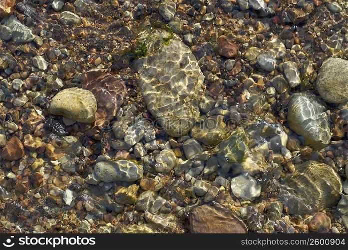 Close-up of pebbles in water