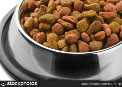 Close up of pet food in metal bowl