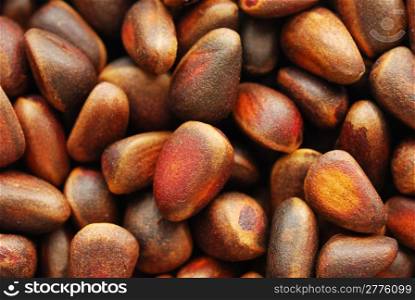 Close-up of pine nuts, top view. Pine Nuts