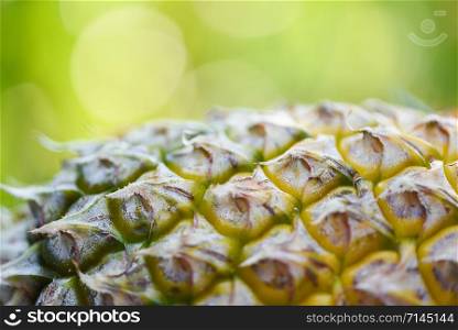 Close up of pineapple fruit / texture pineapple skin and nature green blur background