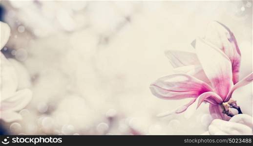 Close up of pink magnolia flowers, floral border, pastel color