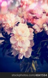 Close up of pink pale peonies with bokeh lighting