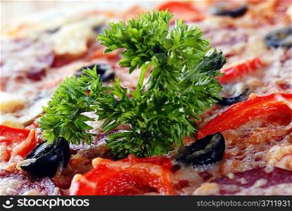 Close up of pizza with tomatoes, cheese, black olives and dill