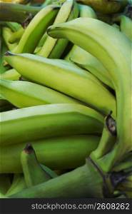 Close-up of Plantain bananas