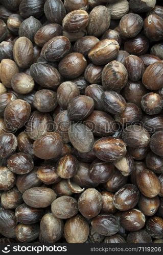 Close-up of plenty of Nutmegs (Jaiphal).