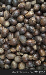 Close-up of plenty of Nutmegs (Jaiphal).