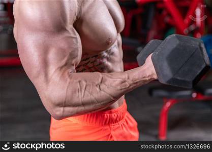 Close up of powerful muscular man doing biceps exercise with dumbbell at the gym