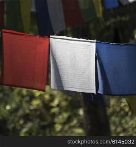 Close-up of prayer flags at Taktsang Monastery, Paro, Paro District, Paro Valley, Bhutan