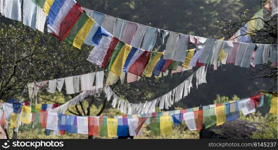 Close-up of prayer flags at Taktsang Monastery, Paro, Paro District, Paro Valley, Bhutan