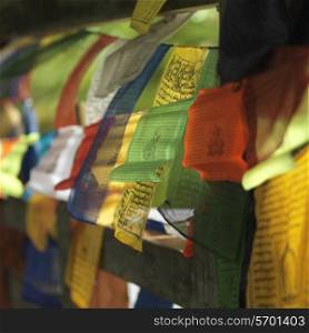 Close-up of prayer flags blowing in wind at Tango Goemba, Thimphu, Bhutan