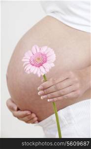 Close Up Of Pregnant Woman Holding Pink Flower