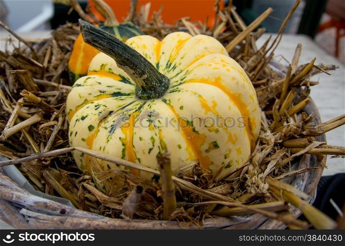 close up of pumpkin in a basket