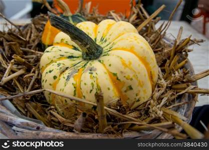 close up of pumpkin in a basket