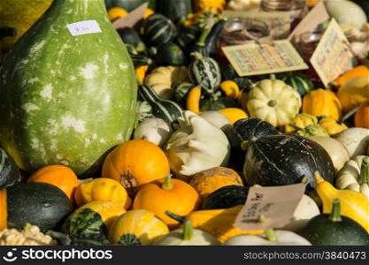 close up of pumpkins and vegetables