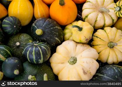 close up of pumpkins and vegetables