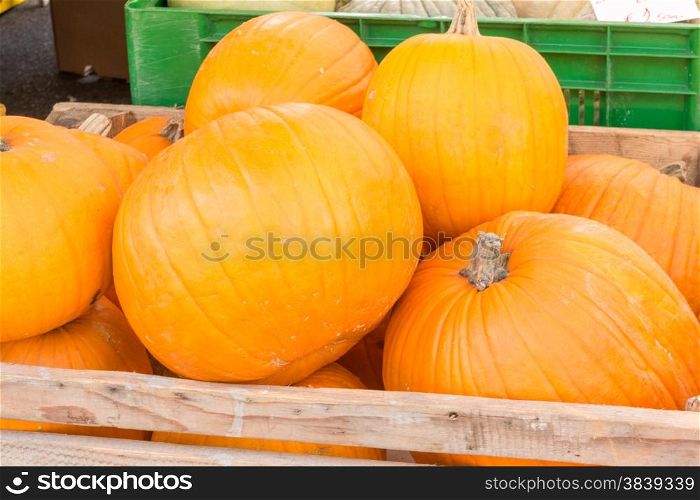 Close-up of pumpkins harvest in wooden bowl at market
