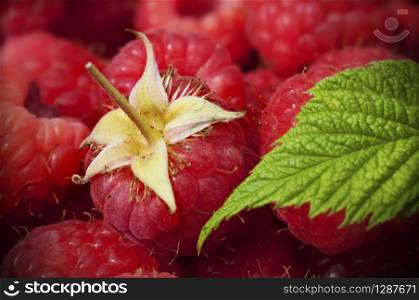 close up of raspberries and one green leaf, horizontal image, there is one entire raspberry . close up of raspberries