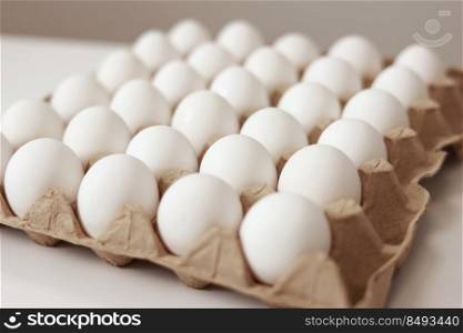 Close Up of raw chicken eggs in paper egg tray on white background. Group of Fresh white Eggs in a cardboard cassette. Organic food from nature good for health. Close Up of raw chicken eggs in paper egg tray on white background. Group of Fresh white Eggs in a cardboard cassette. Organic food from nature good for health.