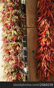 Close-up of red chili peppers and strawberries hanging on a pole
