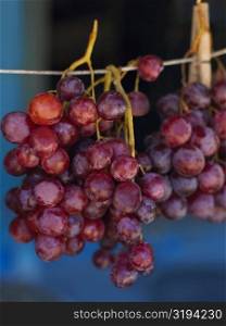 Close-up of red grapes hanging at a market stall, Providencia, Providencia y Santa Catalina, San Andres y Providencia Department, Colombia