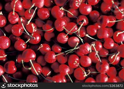 Close up of red, luscious cherries