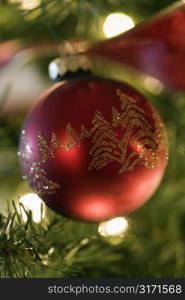 Close up of red ornament hanging in Christmas tree.