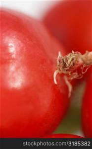 Close-up of red radish