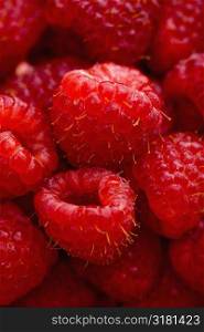 Close up of red raspberries.