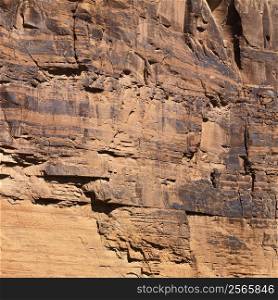 Close-up of red rock wall in Utah.