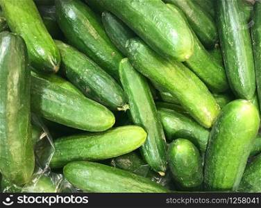 Close-Up Of Ripe Cucumbers. Healthy Fresh Food Background.