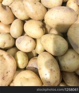 Close-Up Of Ripe Potatoes. Healthy Fresh Food Background.