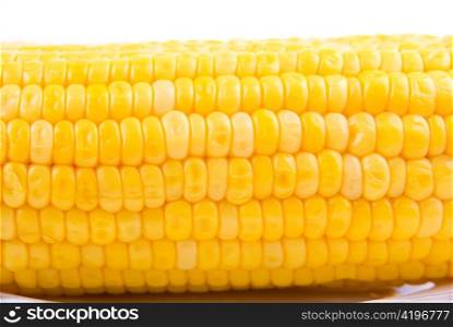 Close up of ripe yellow Corn on white background