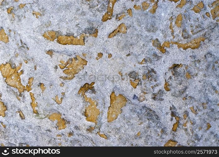 Close-up of rock surface