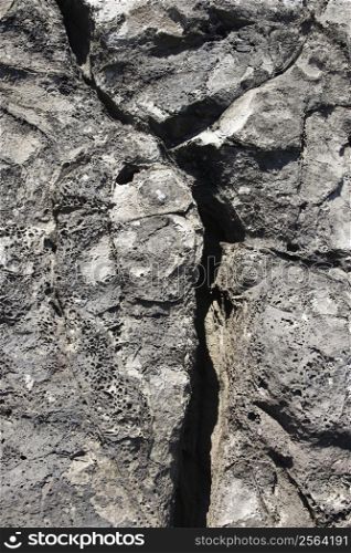 Close-up of rock with crack in Maui, Hawaii.