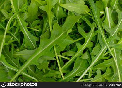 Close up of rocket salad