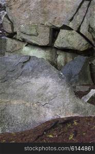Close-up of rocks, Whistler, British Columbia, Canada
