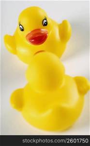 Close-up of rubber ducks