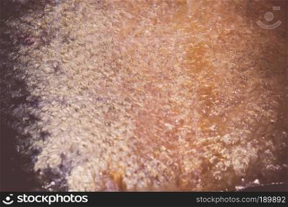 Close up of salmon fish scales as background.
